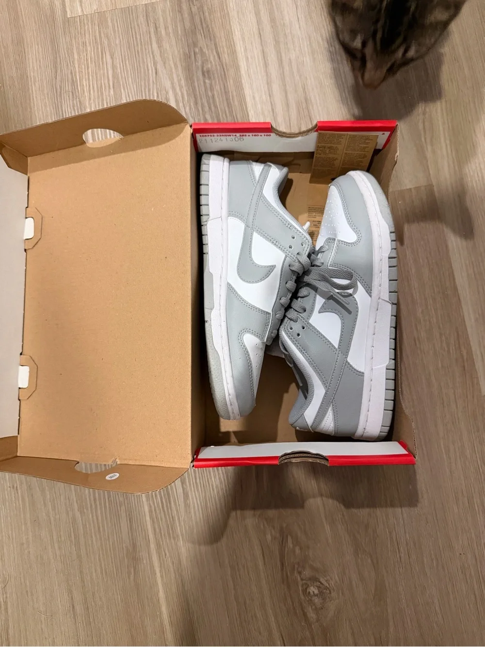 Nike Kids' Light Grey & White Low-Top Sneakers